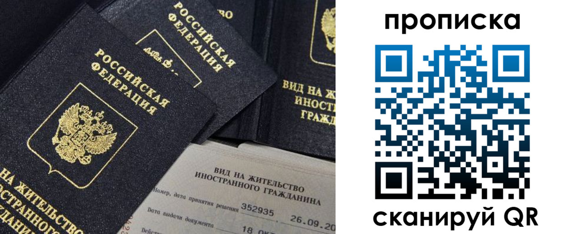 прописка паспорт в Мончегорске