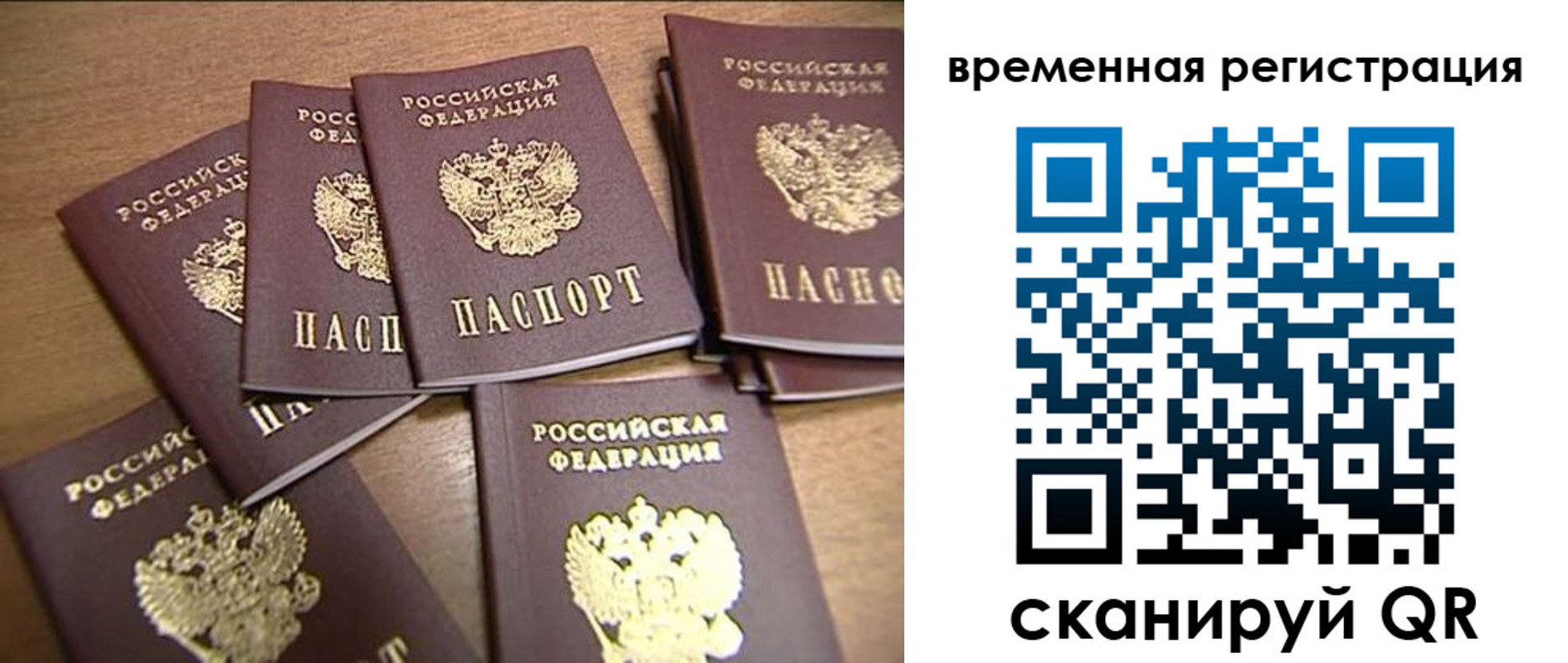 прописка ребенка в Мончегорске
